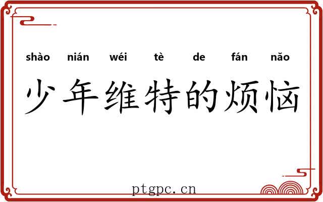 少年维特的烦恼