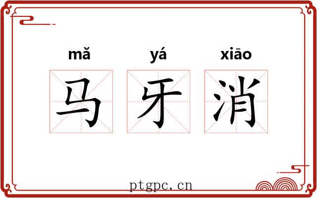 马牙消 马牙消