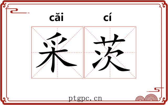 采茨
