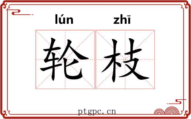 轮枝