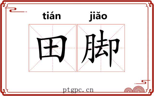田脚