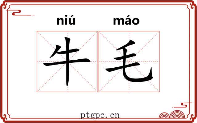 牛毛 牛毛