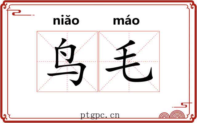 鸟毛 鸟毛