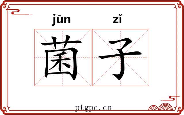 菌子 菌子