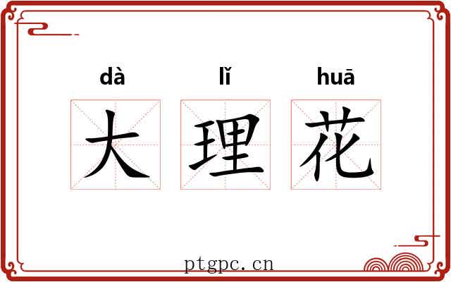 大理花