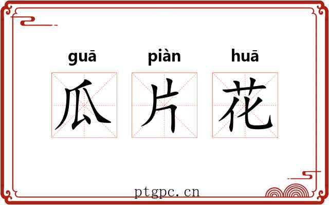 瓜片花