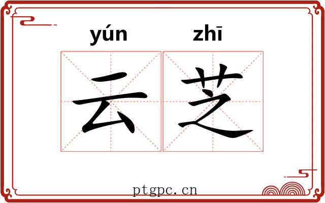 云芝