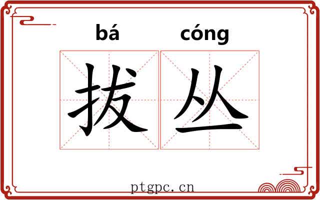 拔丛