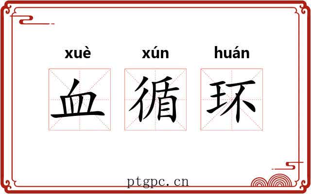 血循环 血循环