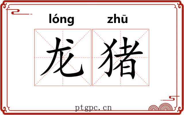 龙猪