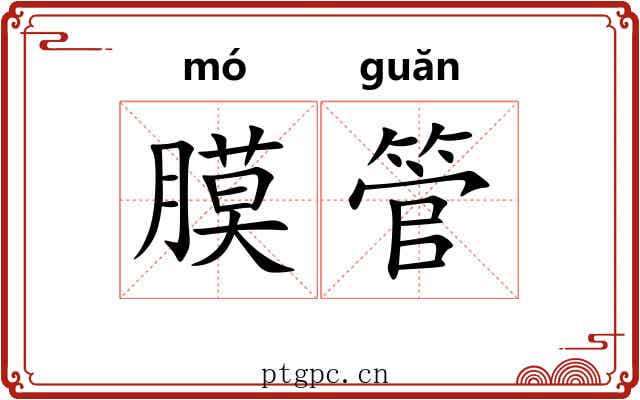 膜管