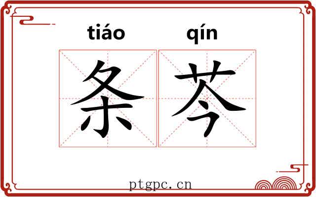 条芩 条芩