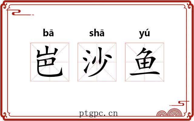 岜沙鱼