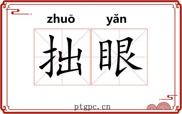 拙眼