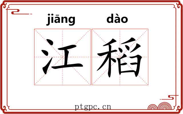 江稻 江稻