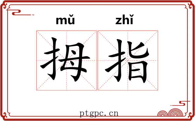 拇指
