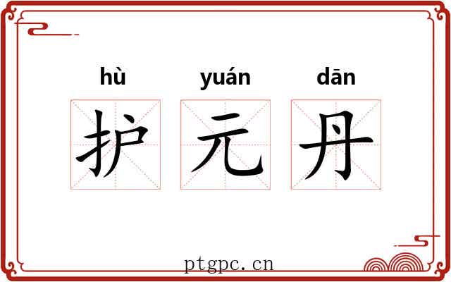 护元丹