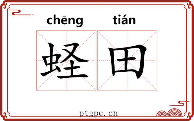 蛏田