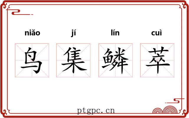 鸟集鳞萃