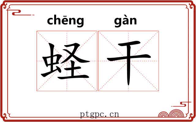 蛏干 蛏干