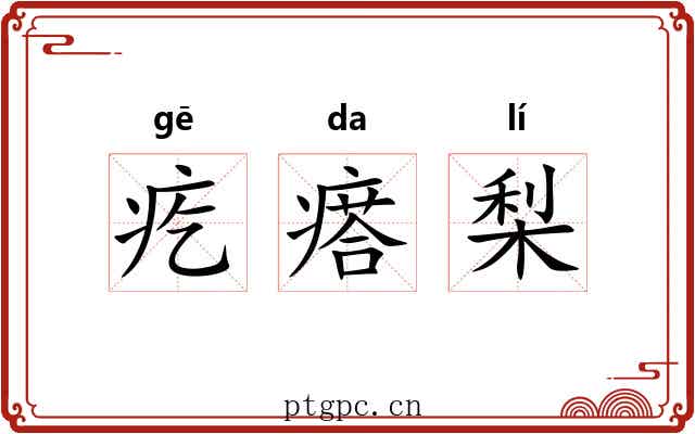 疙瘩梨 疙瘩梨