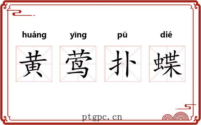 黄莺扑蝶 黄莺扑蝶