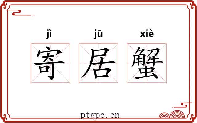 寄居蟹 寄居蟹