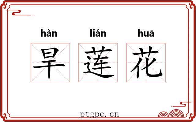 旱莲花 旱莲花