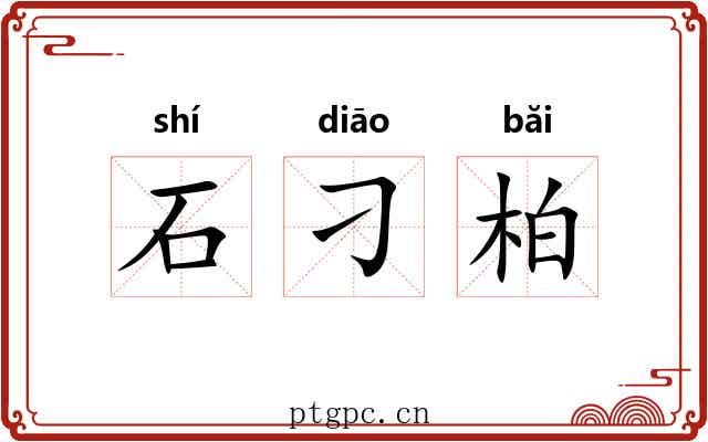 石刁柏