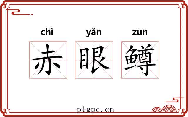 赤眼鳟 赤眼鳟