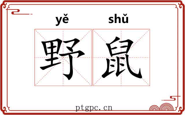 野鼠 野鼠