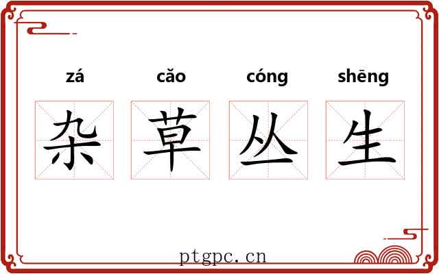 杂草丛生 杂草丛生