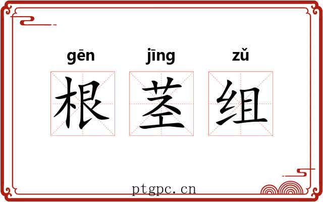 根茎组 根茎组