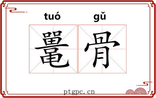 鼍骨 鼍骨