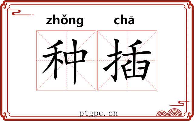 种插