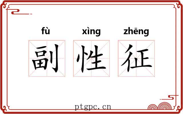 副性征 副性征