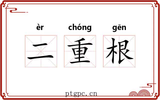 二重根 二重根