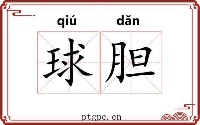 球胆