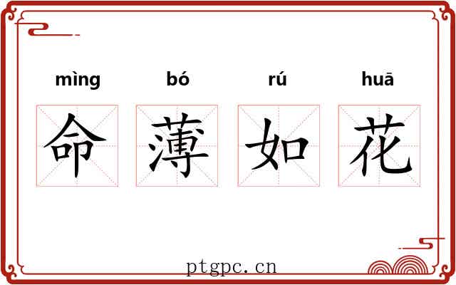 命薄如花 命薄如花