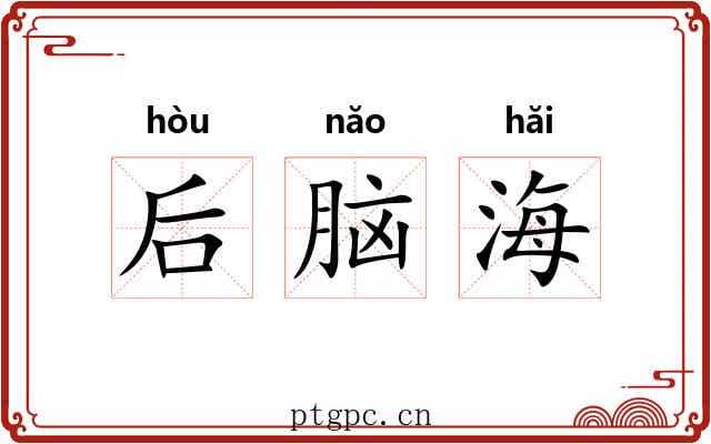 后脑海 后脑海