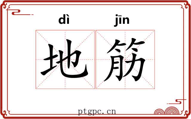 地筋