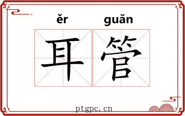 耳管 耳管