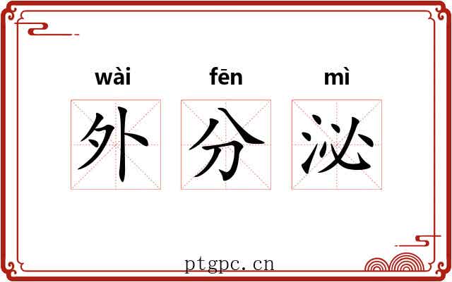 外分泌 外分泌