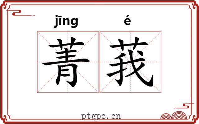 菁莪
