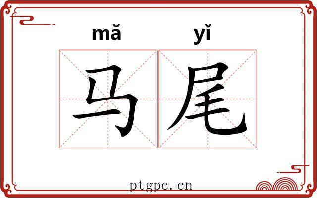 马尾
