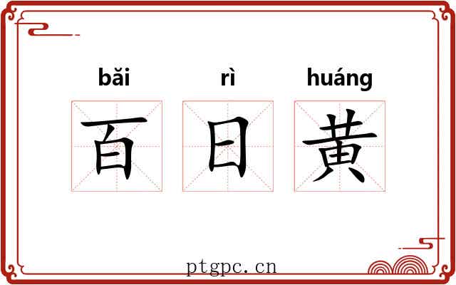 百日黄 百日黄