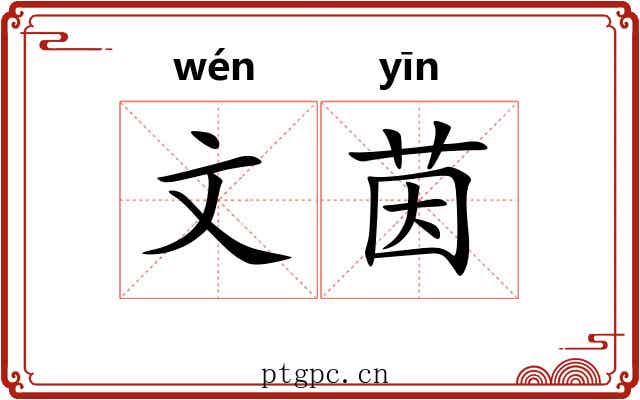 文茵 文茵