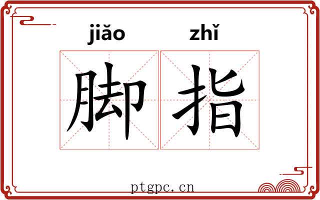 脚指