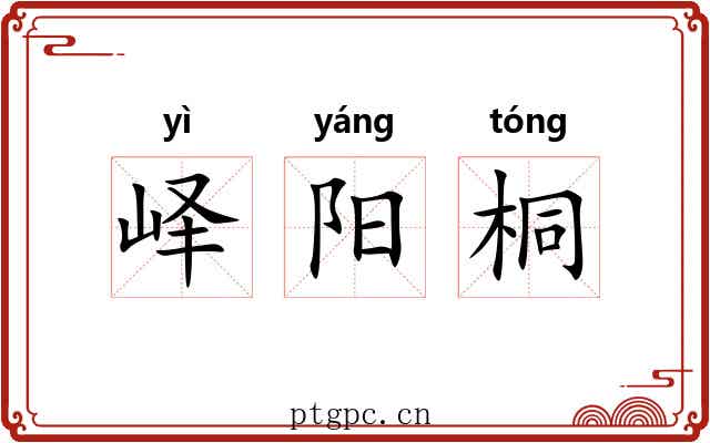 峄阳桐 峄阳桐