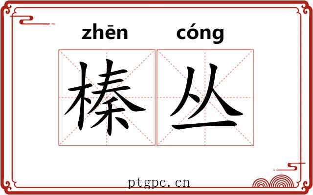 榛丛